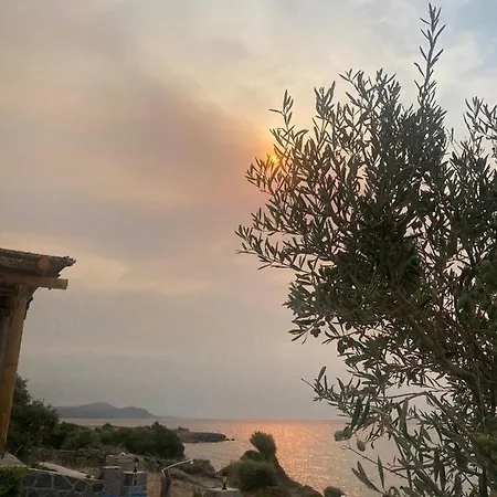 Yakamoz & Restaurant بيت للعطل Ayvacik (Canakkale)