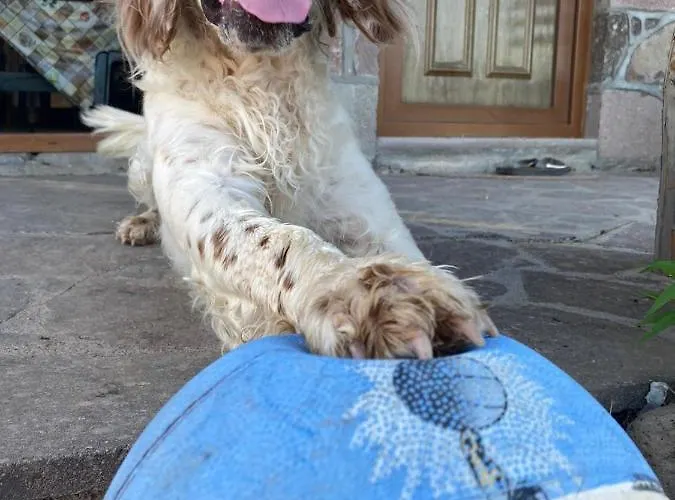 Yakamoz & Restaurant בית נופש *