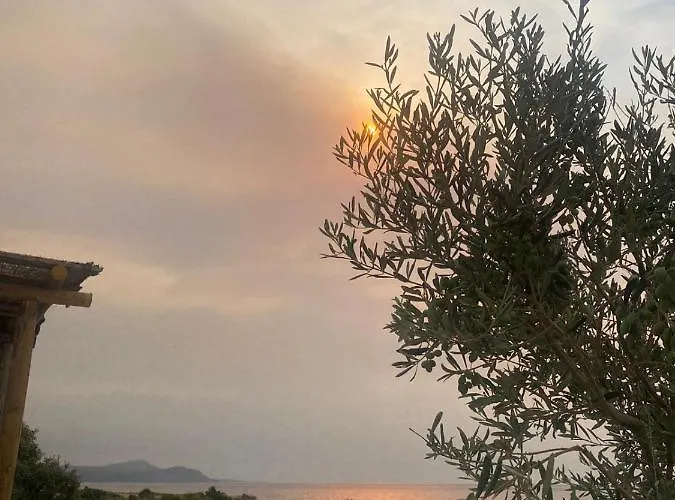 Yakamoz & Restaurant בית נופש Ayvacik (Canakkale)