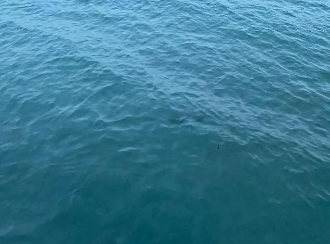 Yakamoz & Restaurant *