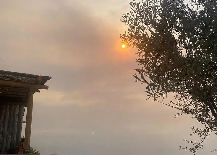 Yakamoz & Restaurant * Ayvacik (Canakkale)